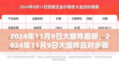 2024年11月9日大爆炸应对指南，全方位准备与应对步骤