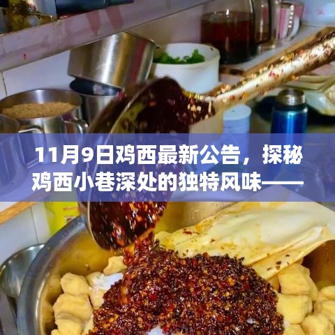 探秘鸡西小巷深处的隐藏版特色小店，最新公告与惊喜之旅