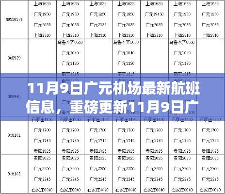 11月9日广元机场航班最新动态，揭秘最新航班信息一网打尽