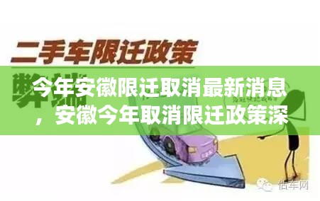 安徽取消限迁政策解读，影响、特性、体验与竞品对比分析