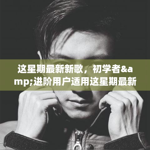 本周最新歌曲探索之旅，适合初学者与进阶用户的音乐鉴赏指南