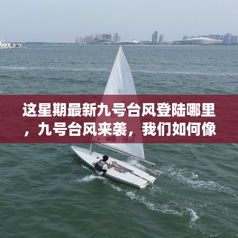 九号台风登陆地点揭秘，如何像学习变化一样拥抱挑战，扬帆起航迎接挑战