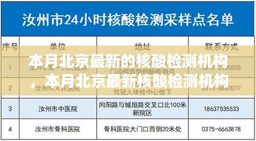 北京最新核酸检测机构探析，多方观点与个人立场阐述