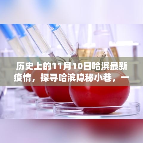 哈滨隐秘小巷的美食奇遇之旅，疫情之下的历史记录与美食探寻