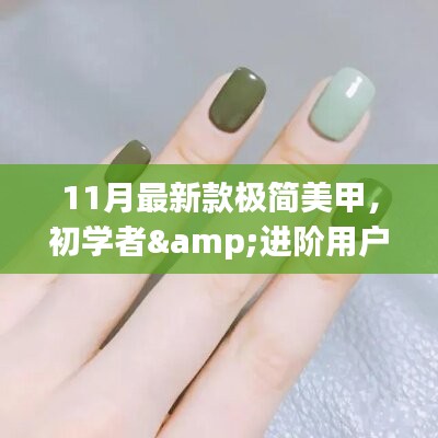 11月最新极简美甲指南，初学者到进阶用户的详细步骤指南