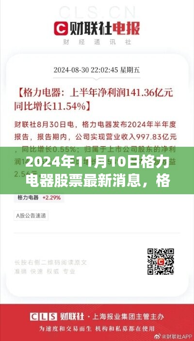 格力电器最新消息解析，聚焦投资观点，洞悉投资机遇（2024年11月10日）