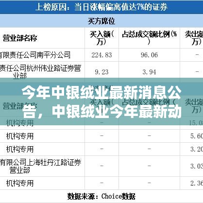 中银绒业最新动态公告，今年脉络、影响与地位的深度回顾