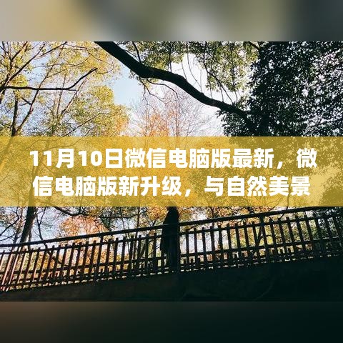 神采奕奕 第24页