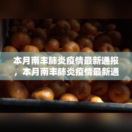 本月南丰肺炎疫情最新通报，评测与详细介绍