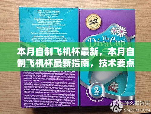 本月自制飞机杯最新指南，技术要点、科普解析与涉黄问题解析