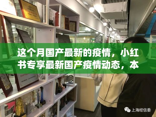 小红书专享解读，最新国产疫情动态深度解析与应对策略本月更新