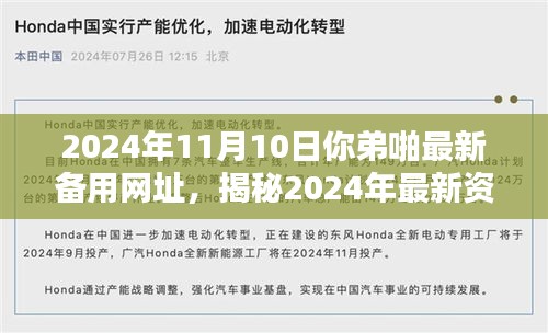 揭秘2024年非法资源分享网站新入口，警惕违法犯罪行为风险警告！