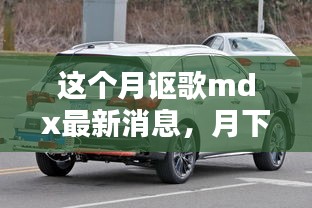 本月讴歌mdx最新动态，月下温情与友情传递的MDX日常