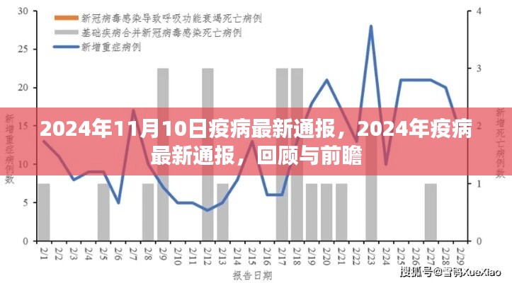 2024年疫病最新通报，回顾与前瞻