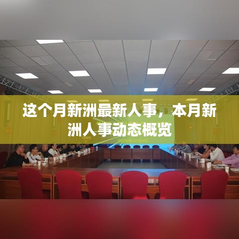 本月新洲人事动态概览，最新人事调整及动态分析