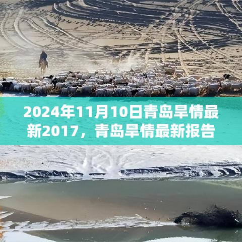 青岛旱情现状报告（回顾至2024年11月10日）