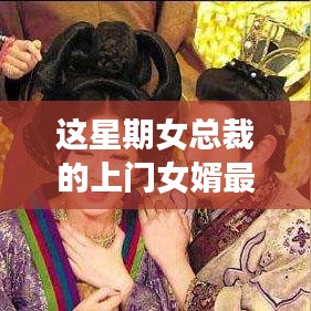 女总裁上门女婿任务攻略，本周完美达成指南