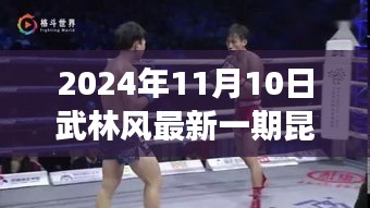 深度解读与观点阐述，武林风最新一期昆仑决 2024年11月10日战报