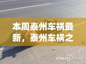 探寻泰州自然美景之旅，车祸之外的心灵宁静力量本周更新报告