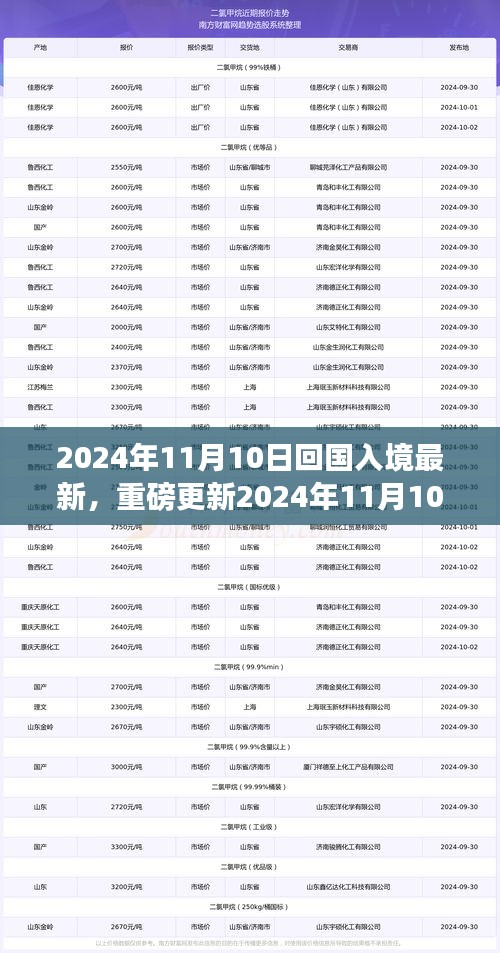 重磅更新！2024年11月10日回国入境最新政策解读，全面知晓入境须知