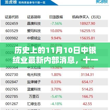 中银绒业内部最新消息揭秘，温馨日常与深厚情感纽带在11月10日的历史时刻