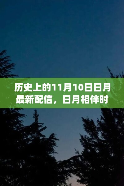 日月相伴时，温馨有趣的11月10日故事配信