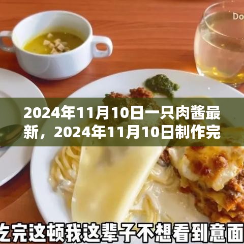 最新肉酱制作指南，从初学者到进阶用户的完美肉酱制作步骤（2024年11月10日更新）