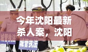 沈阳最新杀人案及其深度解析