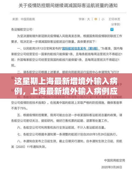 上海境外输入病例应对指南，从初学者到进阶用户的实用步骤与最新动态观察