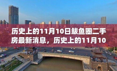 历史上的11月10日鲅鱼圈二手房市场动态解析及最新消息发布