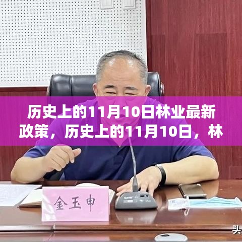 历史上的11月10日林业最新政策深度解读与评测报告