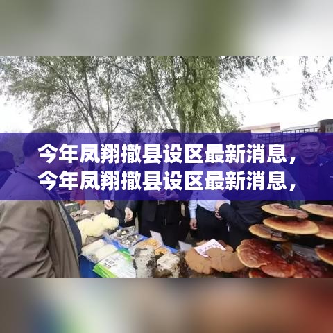 凤翔撤县设区最新动态，揭秘背后的故事与未来展望