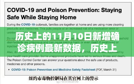 历史上的关键日期疫情数据深度解析，11月10日新增病例与1月1日疫情观点阐述