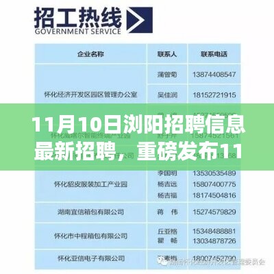 11月10日浏阳最新高科技招聘，引领生活革新，科技梦想实现