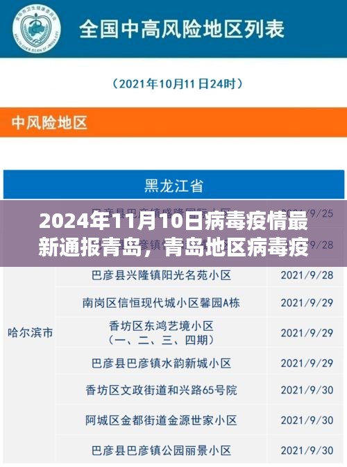 青岛地区病毒疫情最新通报评测报告（截至2024年11月10日）