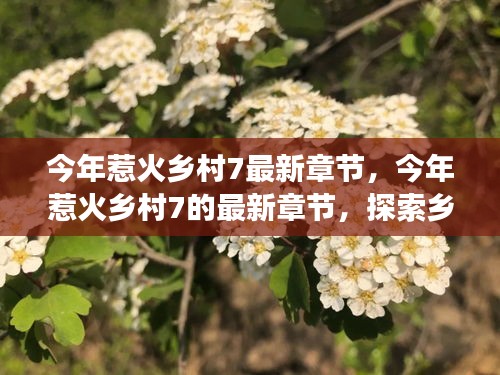 最新章节揭示，乡村发展的三大要点——今年惹火乡村7