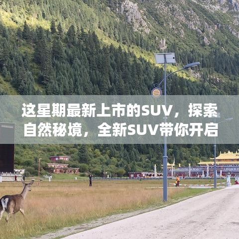 全新上市SUV，带你探索自然秘境的心灵之旅