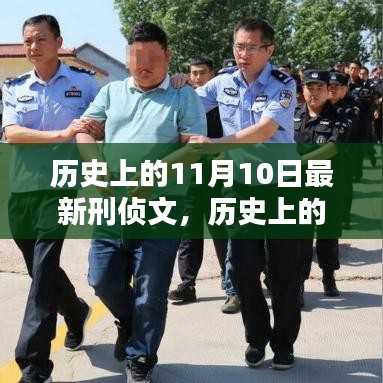 历史上的11月10日最新刑侦文，深度测评与介绍