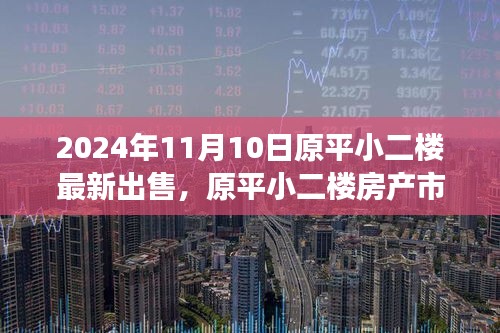 2024年11月原平小二楼房产市场最新动态及出售信息解析