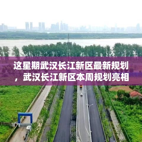 武汉长江新区本周规划亮相，机遇与挑战并存的新篇章