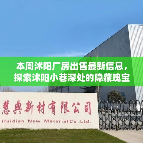 沭阳厂房出售最新信息，探索隐藏瑰宝与独特小店的故事