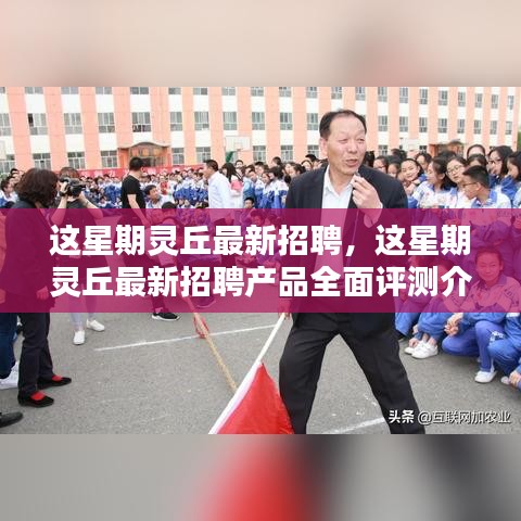 灵丘最新招聘及招聘产品全面评测介绍