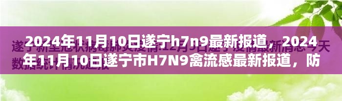 遂宁市H7N9禽流感最新报道，防控进展、案例分析与影响分析（2024年11月10日）