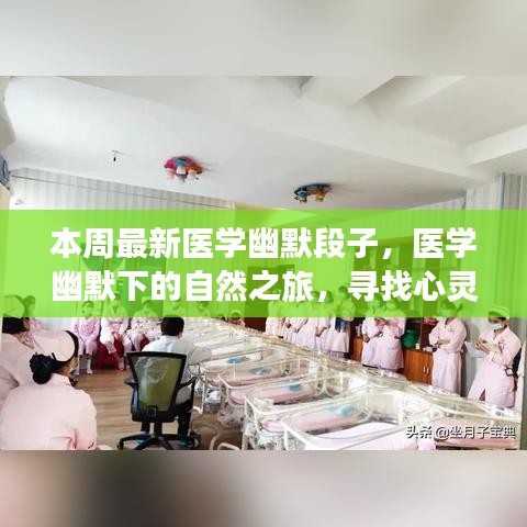 医学幽默段子之旅，心灵港湾的宁静探索