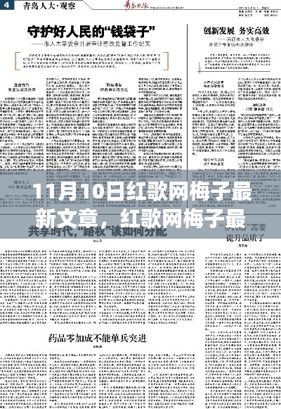 红歌网梅子深度解读观点之争，最新文章揭示11月10日热议话题