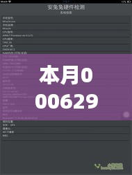 本月000629最新消息全面解析，特性、体验、竞品对比及用户群体深度分析