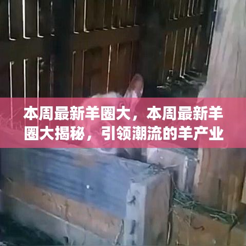 引领潮流的羊产业创新与发展，本周最新羊圈大揭秘