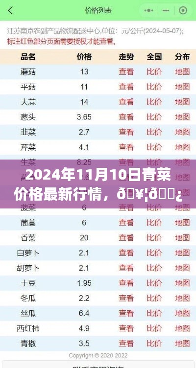 揭秘2024年11月青菜盛宴，最新价格行情一网打尽