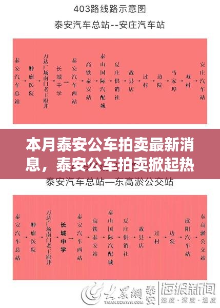 泰安公车拍卖掀起热潮，本月最新动态与深远影响