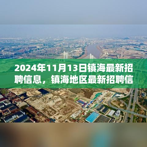 镇海地区最新招聘信息深度解析与用户体验分析（2024年）